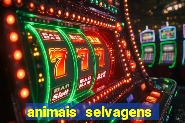 animais selvagens fotos e nomes